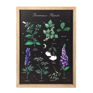 Poisonous Plants Framed Wall Art Print - Image 2