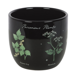 Poisonous Plants Plant Pot - Image 2