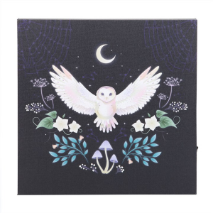 Night Owl Light Up Canvas Plaque - Image 2