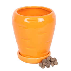 Carrot Shaped Plant Pot with Parsley Seed Balls - Image 2