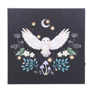 Night Owl Light Up Canvas Plaque - Image 3