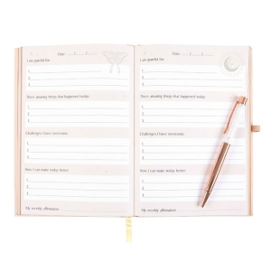 Luna Moth Daily Reflection Journal - Image 5