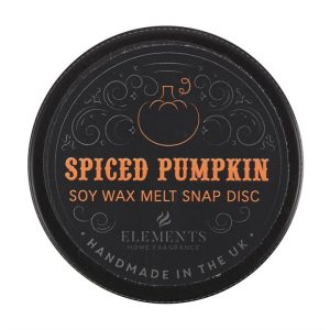 Spiced Pumpkin Soy Wax Snap Disc - Image 2