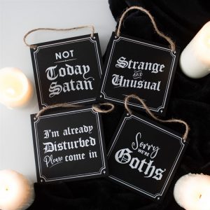 Strange and Unusual Hanging Sign - Image 5