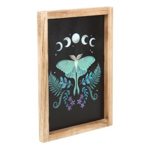 Luna Moth Wooden Framed Wall Art - Image 2