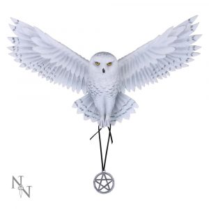 Awaken your Magic (AS) 45cm