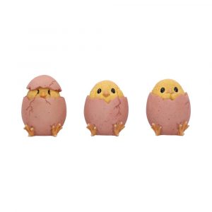 Three Wise Chicks