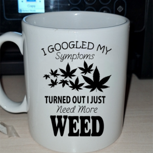 I Googled My Symptoms Mug
