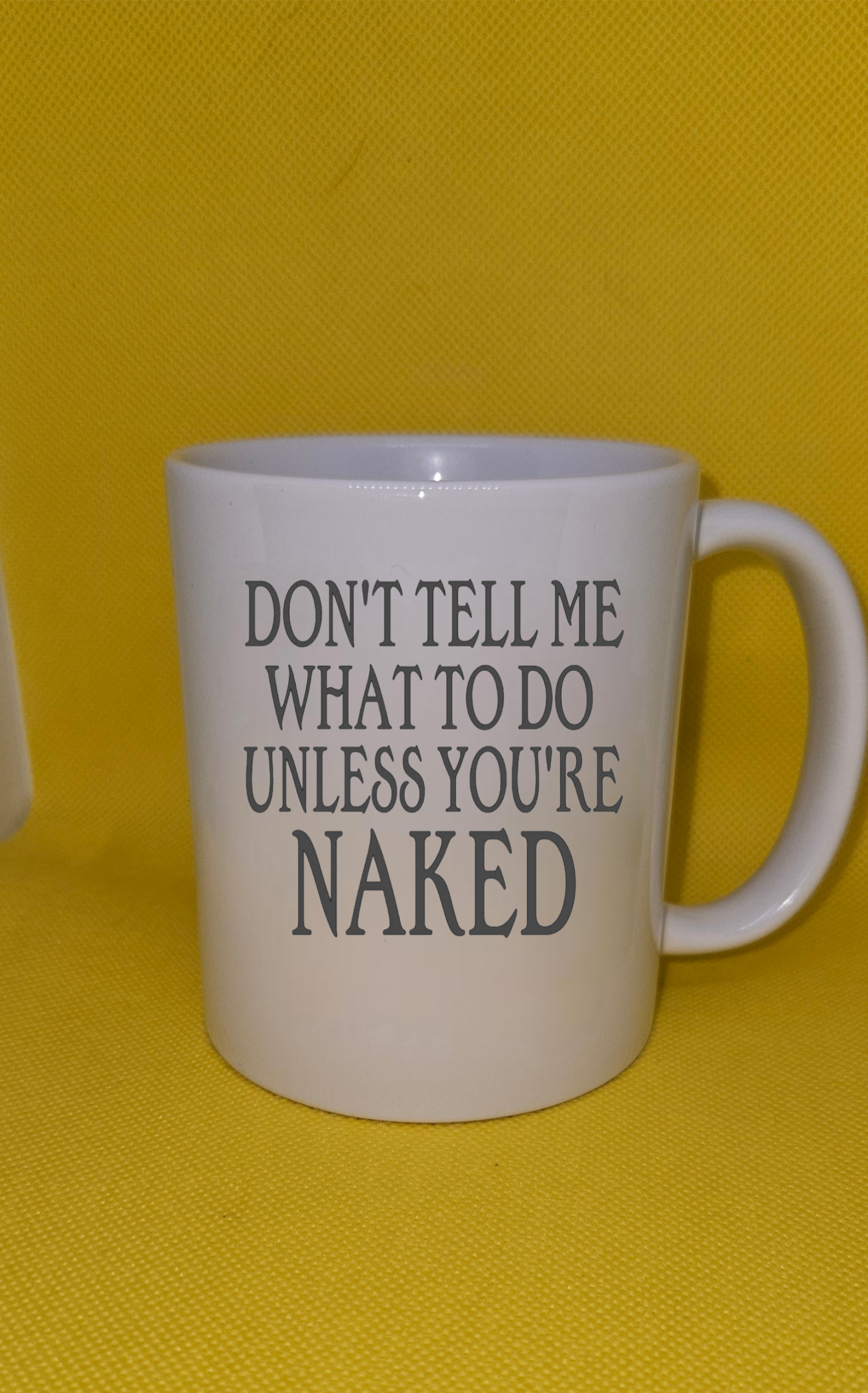 Don't Tell Me What To Do Mug