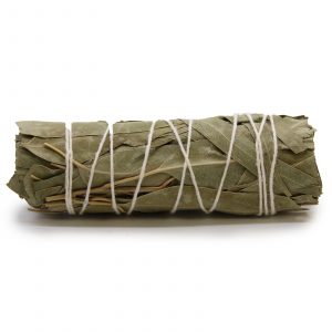 Smudge Stick - White Sage & Eucalyptus 10 cm