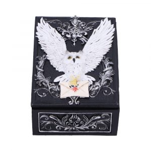 Owl Messenger Box 14cm