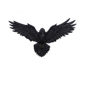 Flight of the Raven 35cm