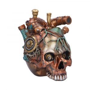 Cardiac Cranium 17.5cm