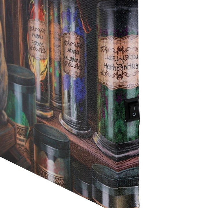 Magical Emporium Light Up Canvas Plaque by Lisa Parker - Image 3