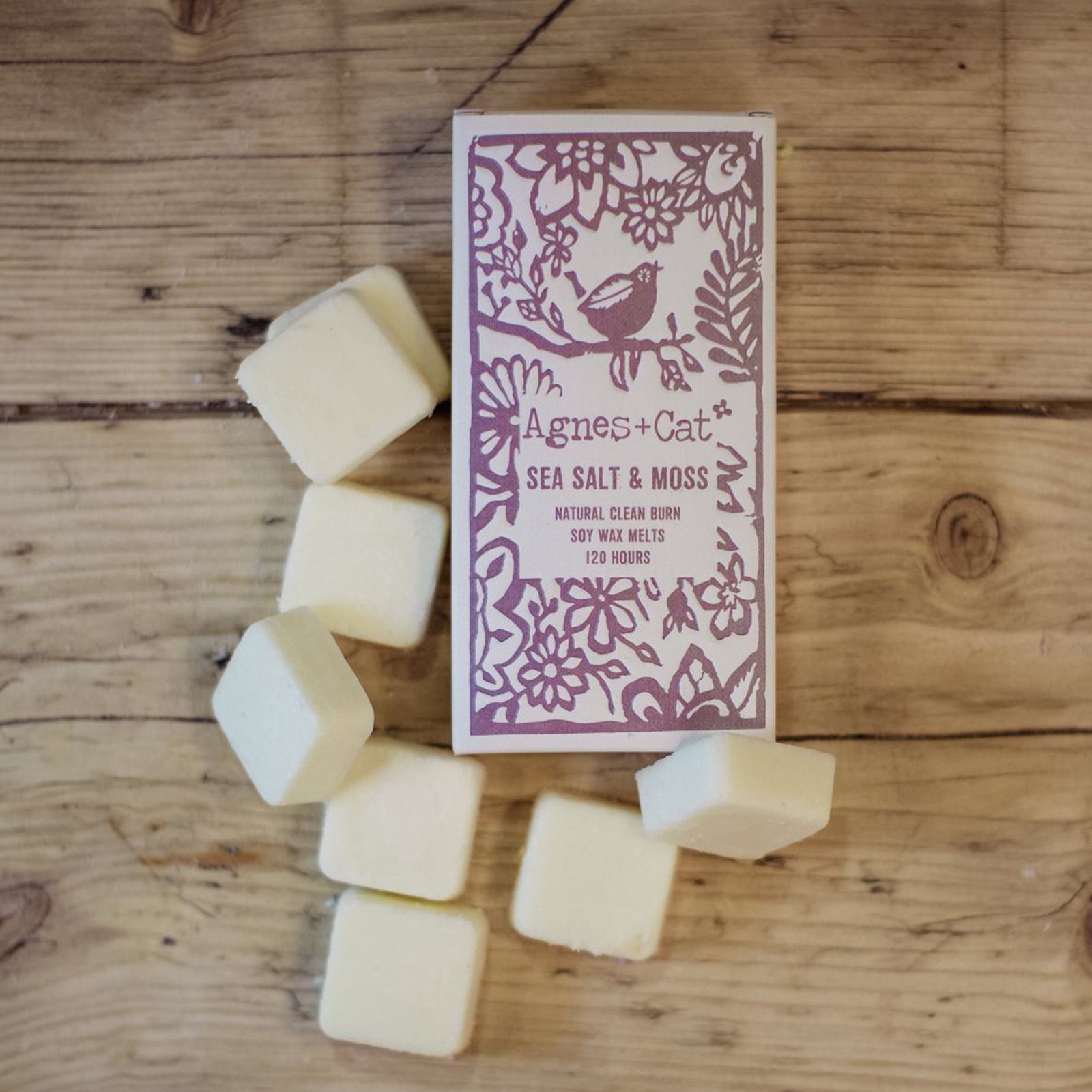 Agnes + Cat Box of 8 Wax Melts - Seasalt + Moss - Image 3