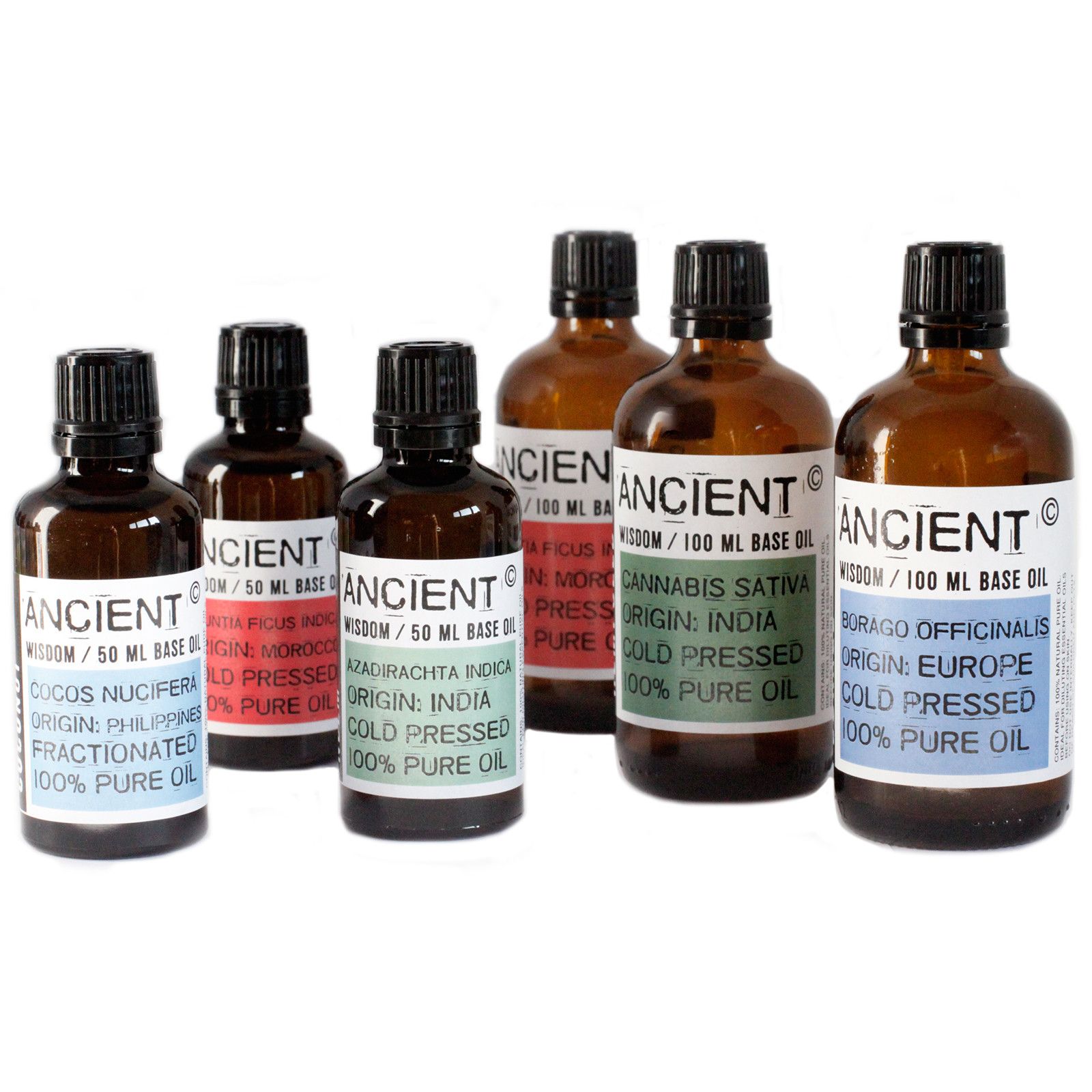 Wheatgerm Oil - 50ml - Image 3