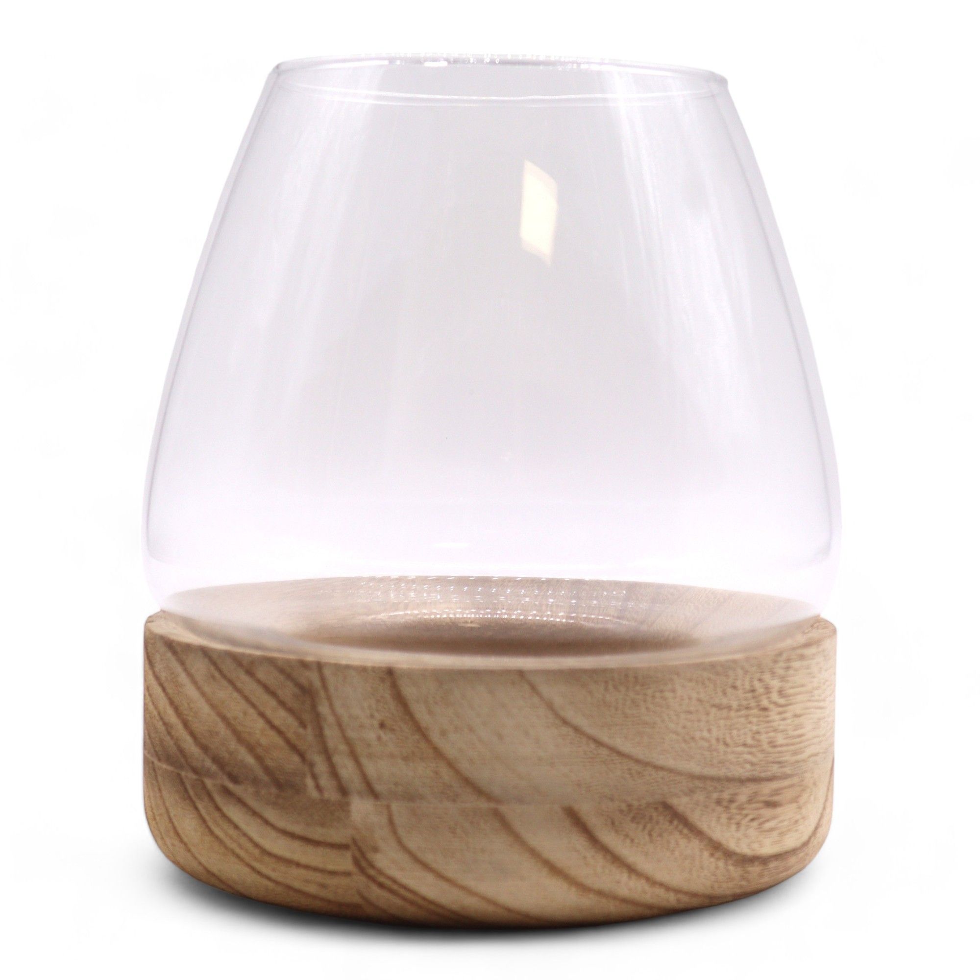 Large Terrarium on Natural Tung Wood - Image 2
