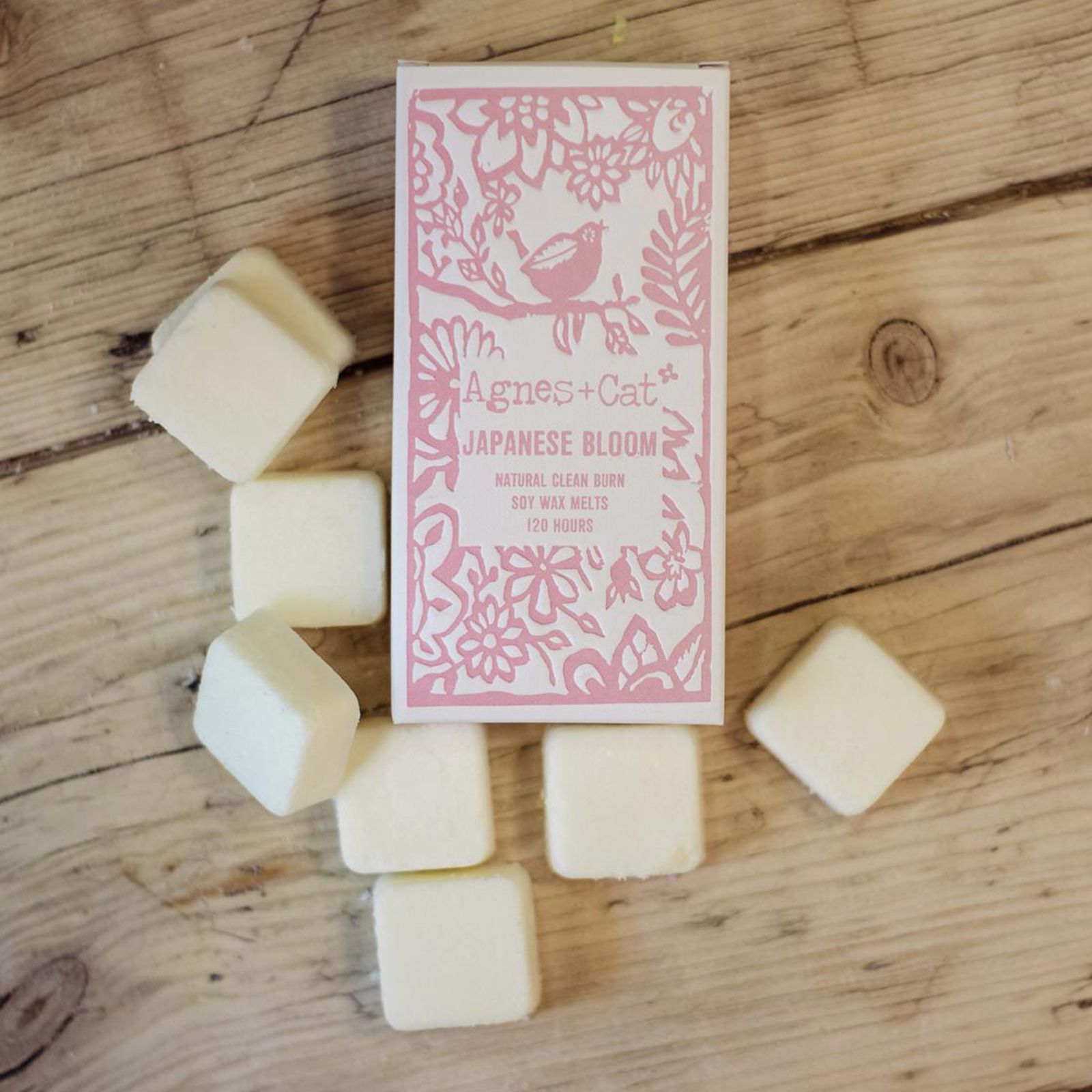 Agnes + Cat Box of 8 Wax Melts - Japanese Bloom - Image 3