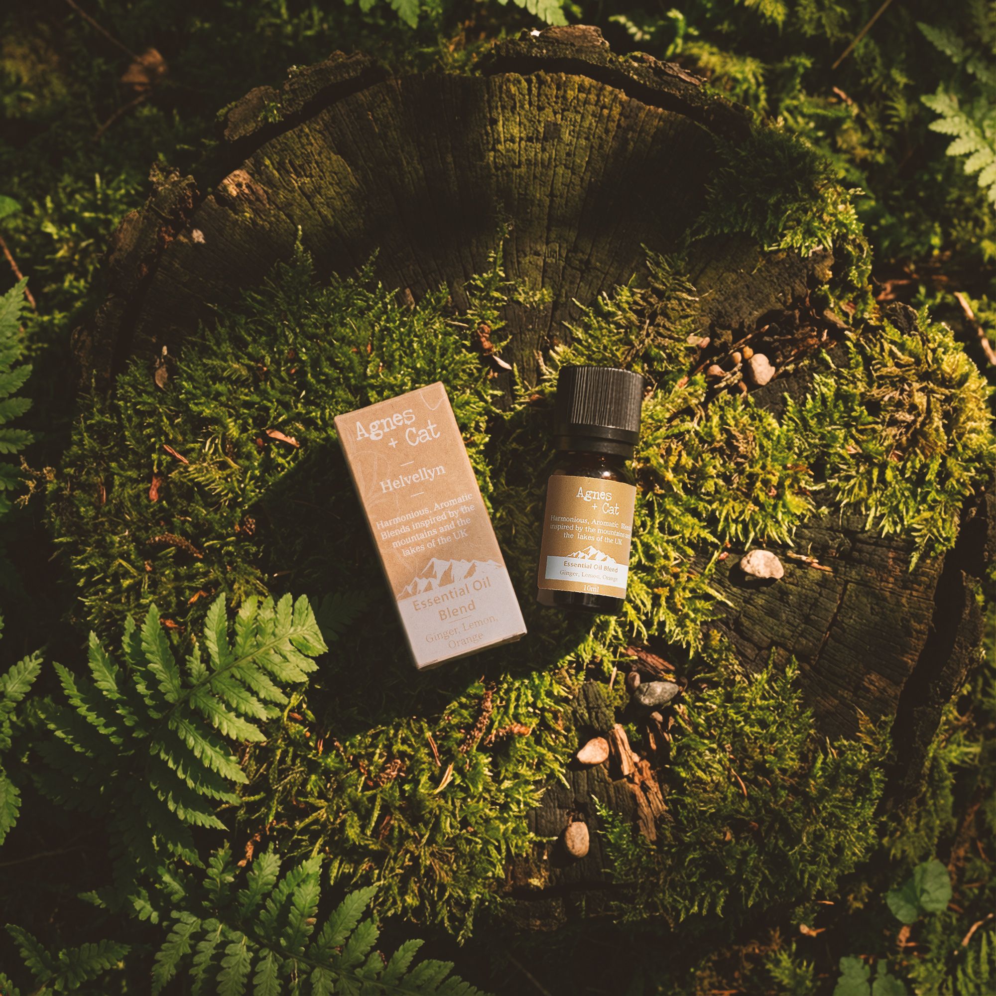 Agnes + Cat Essential Oil Blend - Helvellyn - Ginger, Lemon & Orange - Image 2