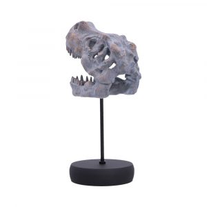 Tyrannosaurus Rex Skull on Plinth