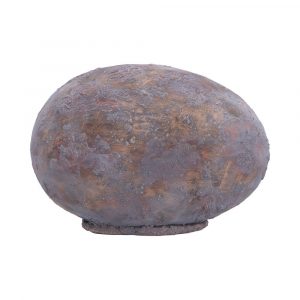 Tyrannosaurus Rex Egg