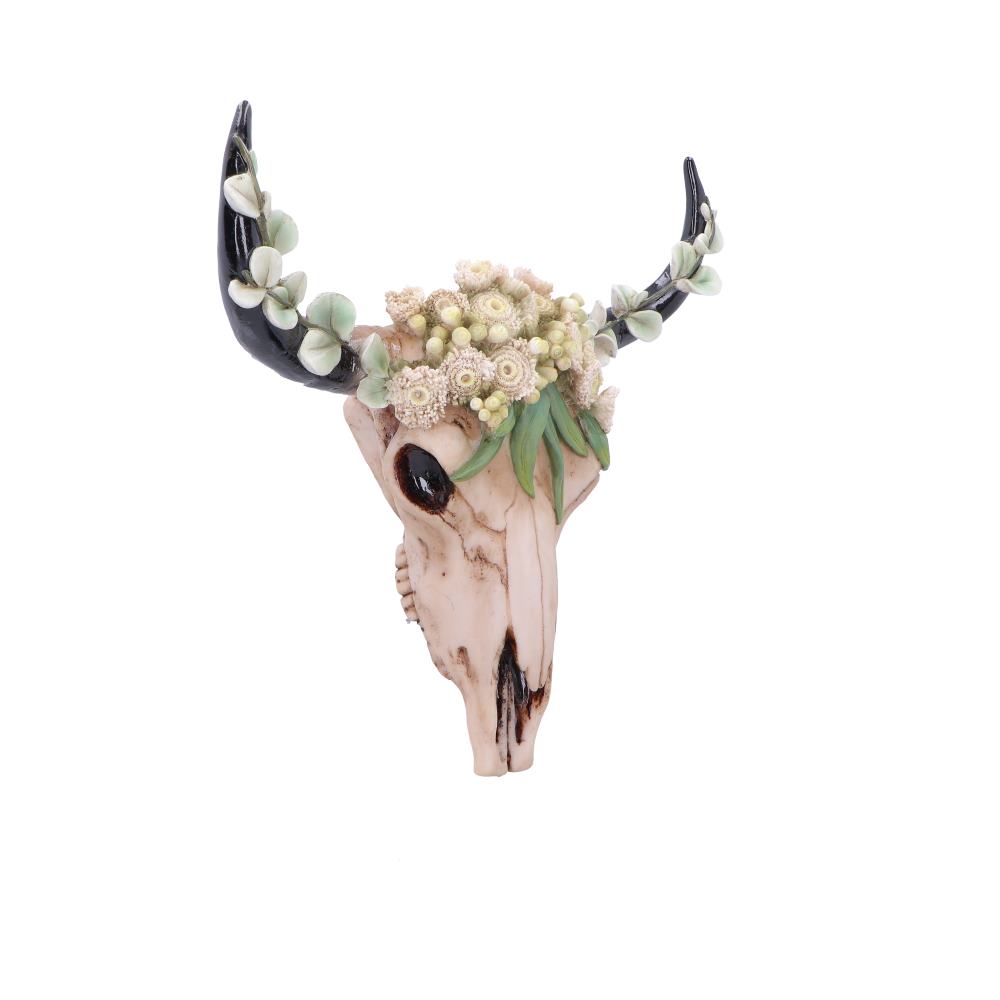 Floral Crown