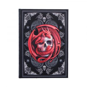 Skull Embrace Journal (AS) 17cm