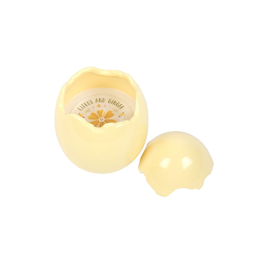 Citrus & Ginger Egg Shaped Candle - Image 2