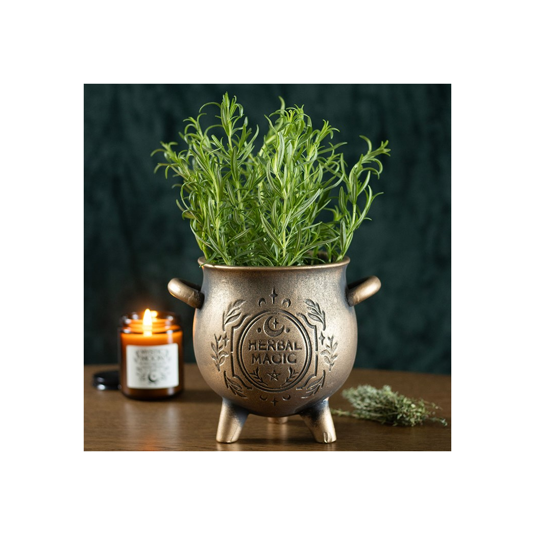 Herbal Magic Bronze Effect Terracotta Cauldron Plant Pot