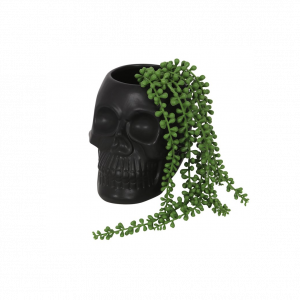 Black Skull Plant Pot