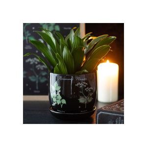 Poisonous Plants Plant Pot