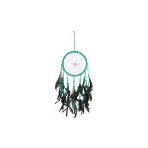 Turquoise Peacock Feather Dreamcatcher