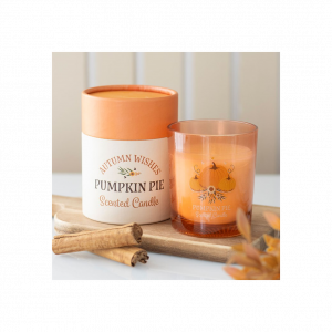 Autumn Wishes Pumpkin Pie Candle
