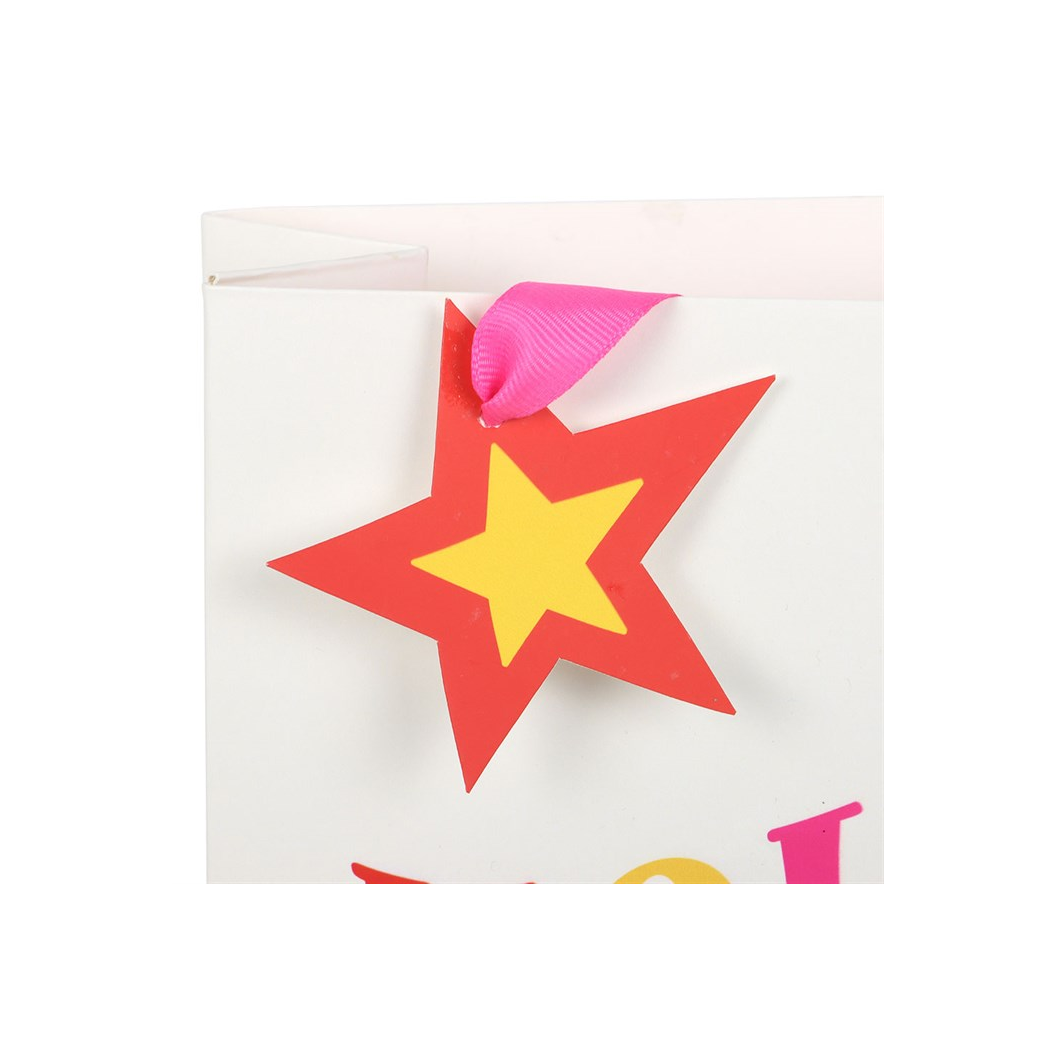 23cm Holly Jolly Gift Bag - Image 3