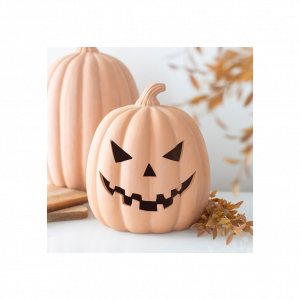 22cm Terracotta Pumpkin Ornament