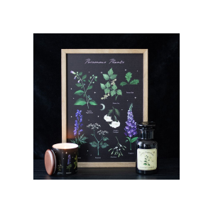 Poisonous Plants Framed Wall Art Print