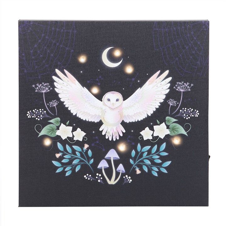 Night Owl Light Up Canvas Plaque - Image 3
