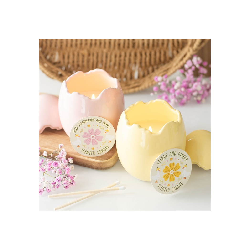 Citrus & Ginger Egg Shaped Candle - Image 5