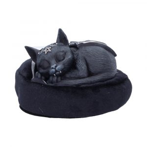 Malpuss Dreams