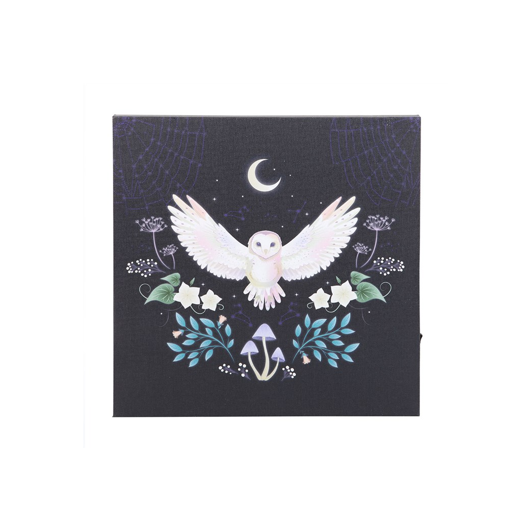 Night Owl Light Up Canvas Plaque - Image 2