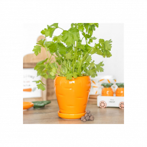 Carrot Shaped Plant Pot with Parsley Seed Balls