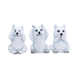 Three Wise Wolf Pups